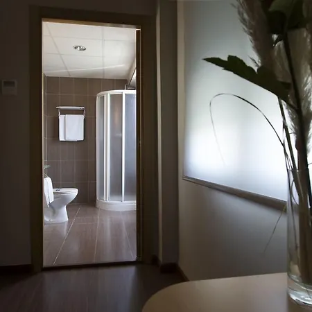 Hotel Vettonia Merida