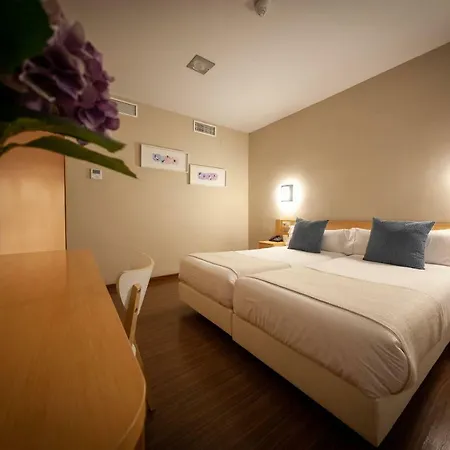 Hotel Vettonia Merida